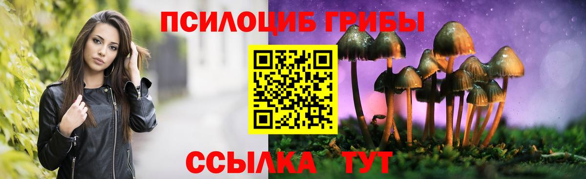 Аксай  Галлюциногенные грибы ЛСД  Вход с VPN  Псилоцибиновые грибы мухоморы 